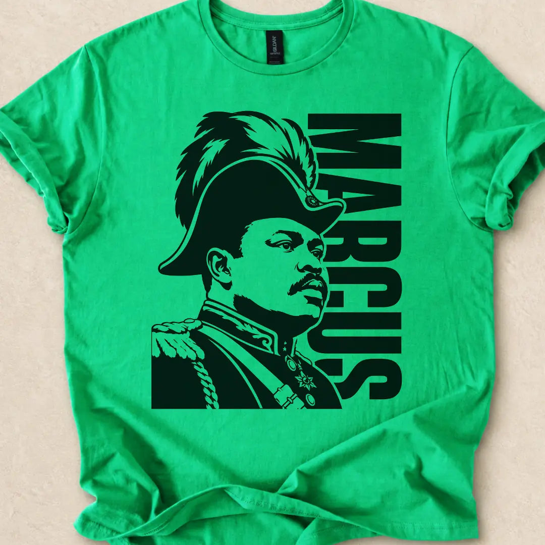 ASILI_BUCKET|design=1042|profile=tee_front_basic|bucket=Shop_Tee_05|color=Irish Green|sha=df73961f7cb1