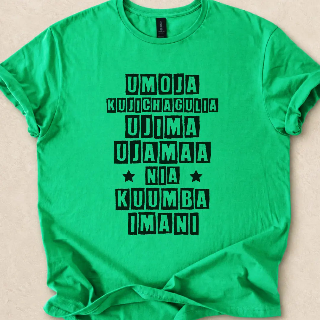 ASILI_BUCKET|design=246|profile=tee_front_basic|bucket=Shop_Tee_05|color=Irish Green|sha=1db75751a48d