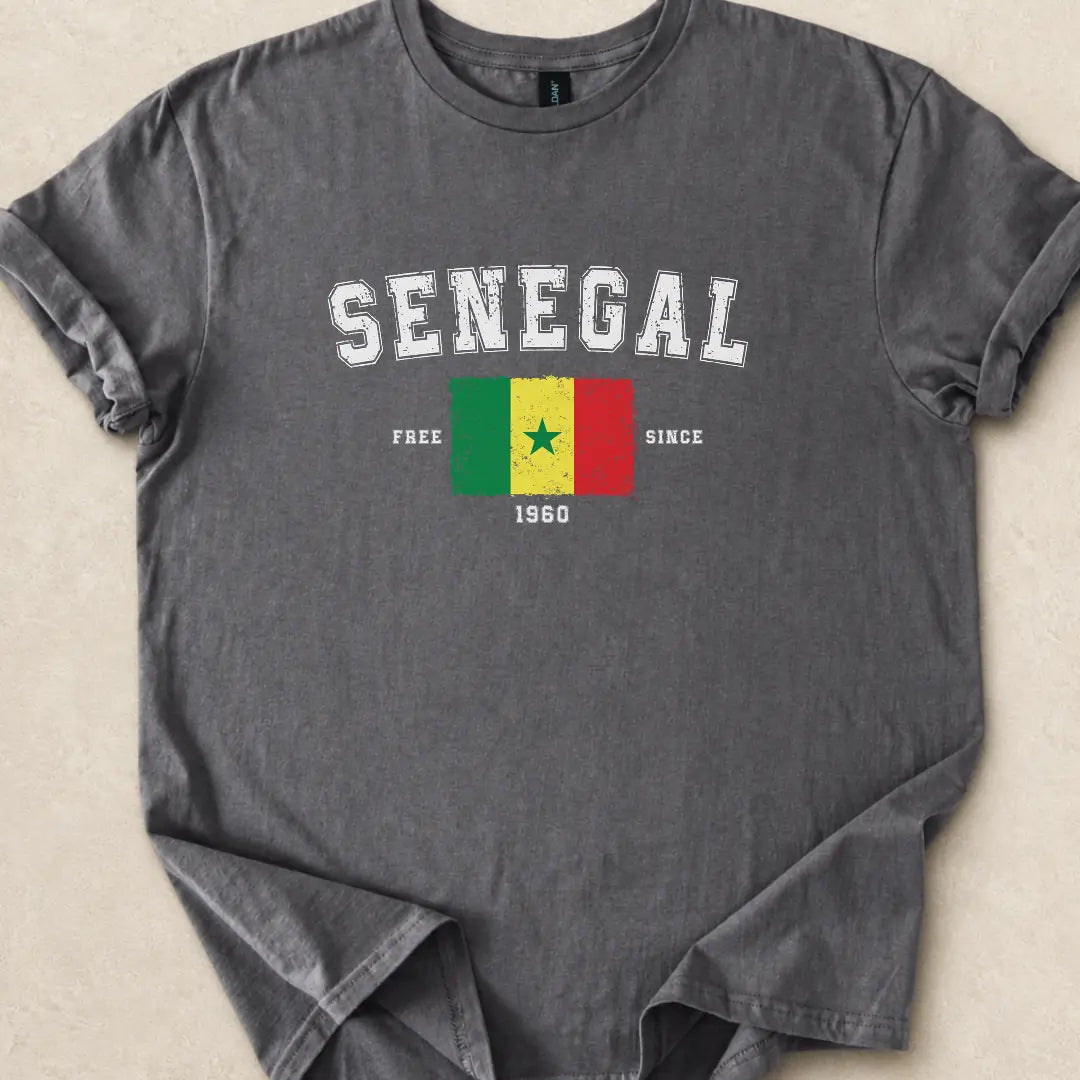 ASILI_BUCKET|design=362|profile=tee_front_basic|bucket=Shop_Tee_05|color=Charcoal|sha=977a50e78929