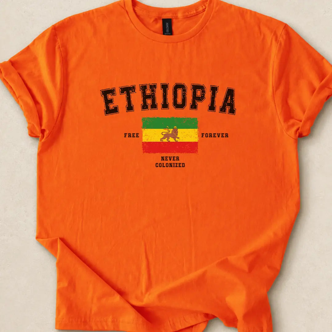 ASILI_BUCKET|design=735|profile=tee_front_basic|bucket=Shop_Tee_05|color=Orange|sha=2d29cc325062