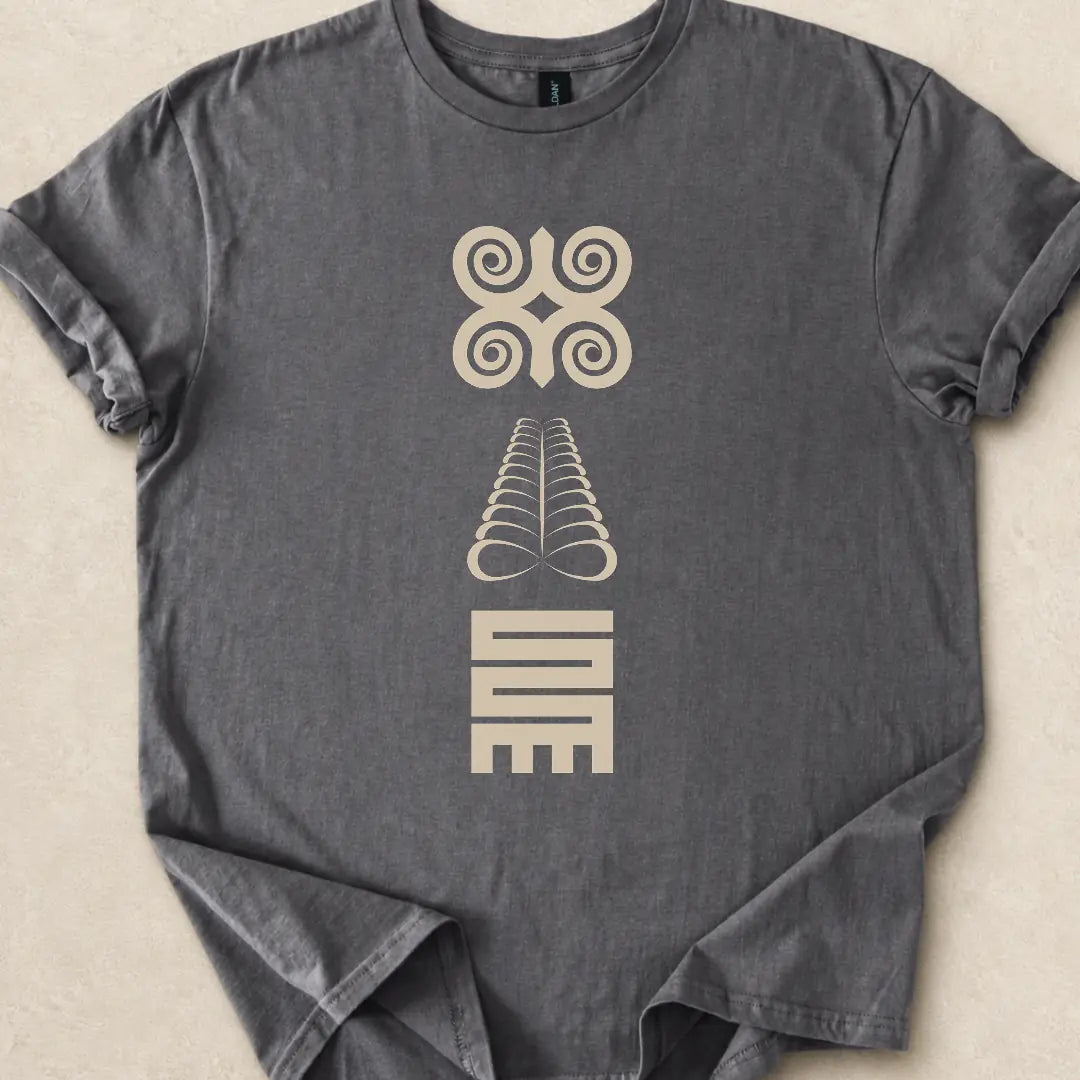 ASILI_BUCKET|design=817|profile=tee_front_basic|bucket=Shop_Tee_05|color=Charcoal|sha=bbd2b2ebca5f