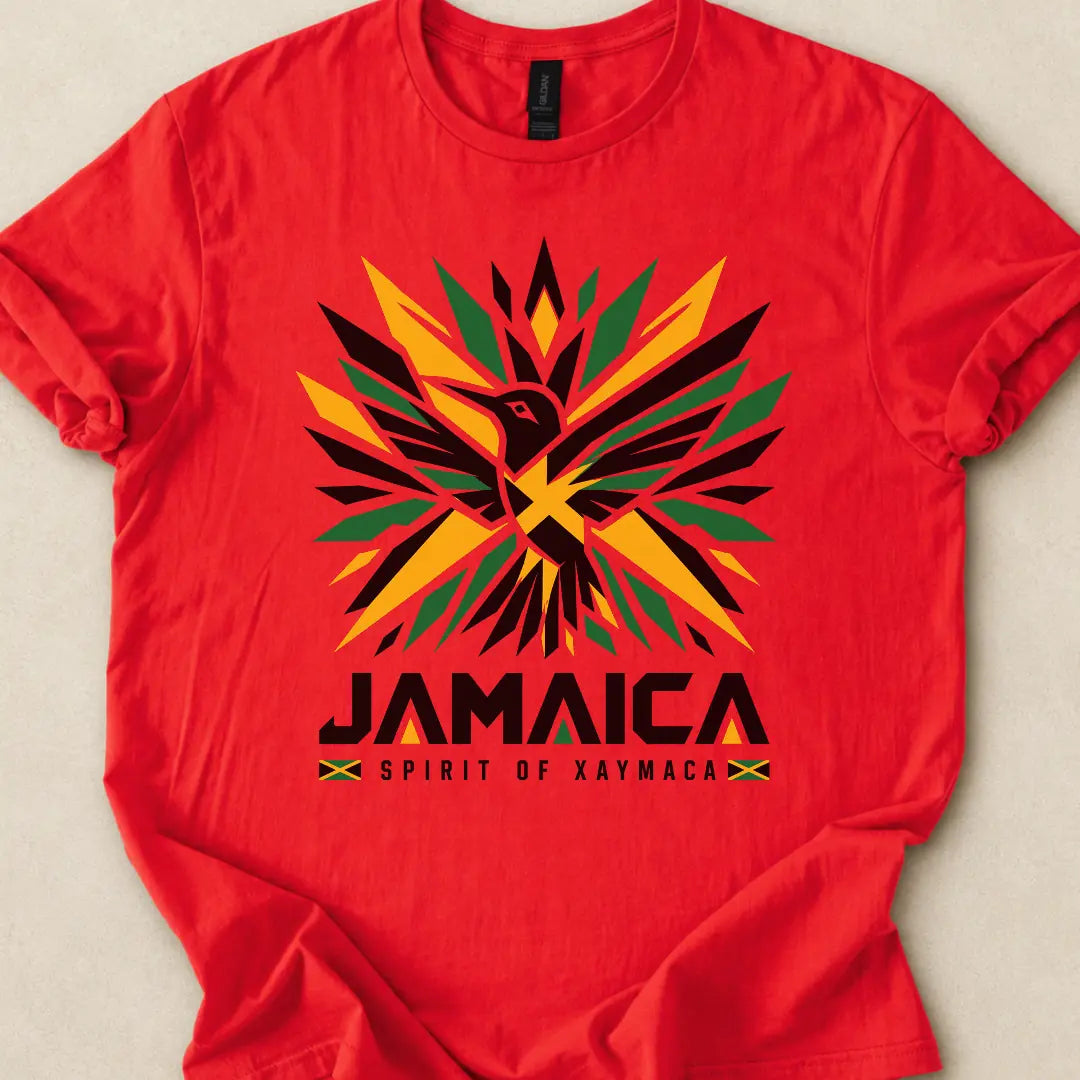 ASILI_BUCKET|design=985|profile=tee_front_basic|bucket=Shop_Tee_05|color=Red|sha=ded4008a9478